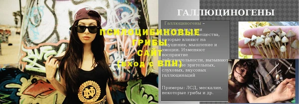 не бодяженный Новозыбков