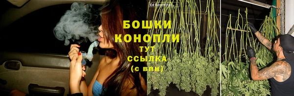 не бодяженный Новозыбков