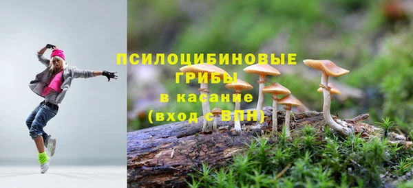 соль курить ск Новодвинск