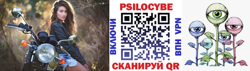 блэк спрут сайт  Пошехонье  Галлюциногенные грибы Psilocybine cubensis  где купить наркотик 